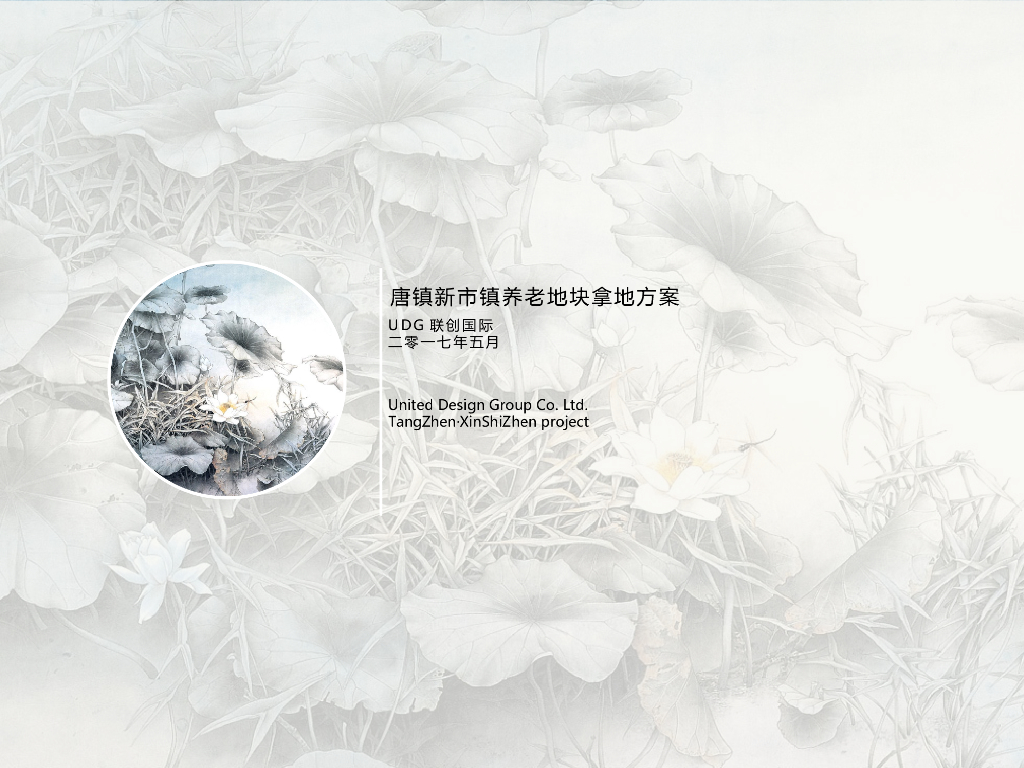 现代时尚+高端全面养老地块方案规划设计