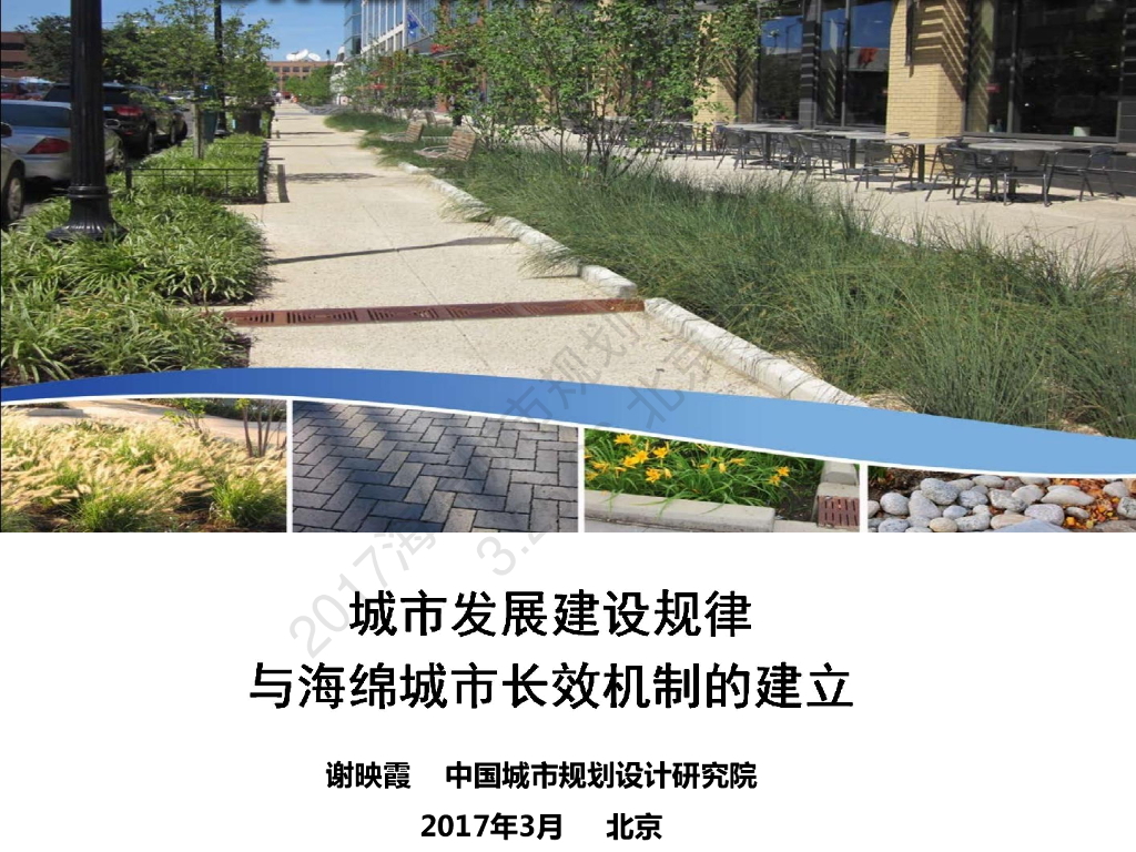 谢映霞：城市发展建设规律与海绵城市长效机制的建立