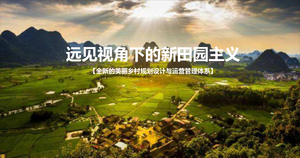 远见视角下的新田园主义（美丽乡村，运营管理体系）