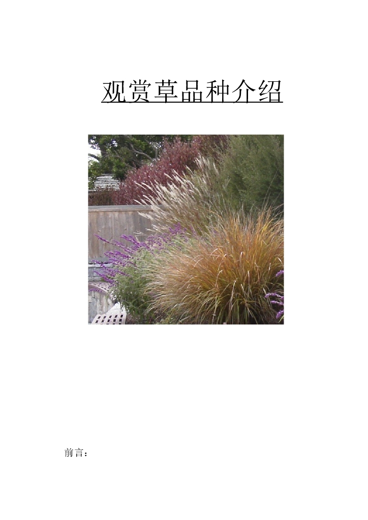 景观植物-观赏草品种介绍