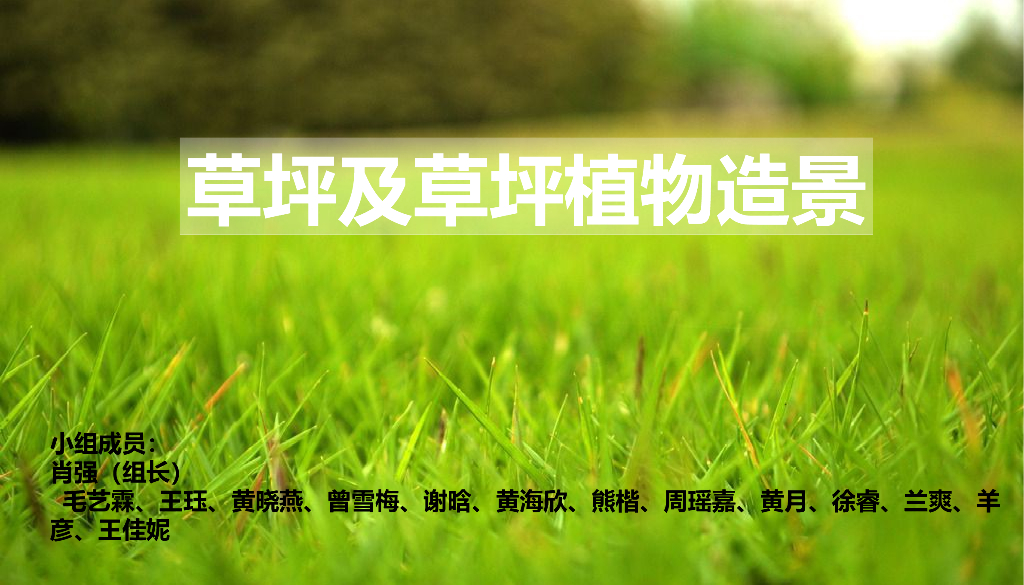 花卉灌木种植设计