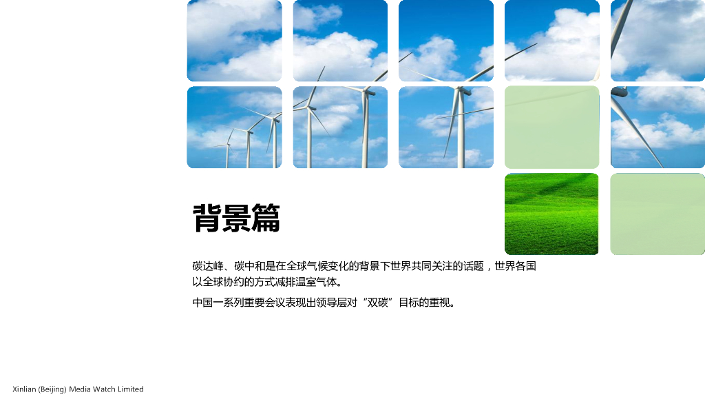 新联财通咨询：碳中和目标下的企业发展新路径_第4页