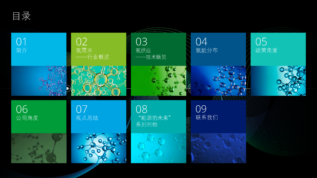 德勤：新能源行业“能源的未来”系列刊物：为碳中和，创造可行的氢经济_第2页