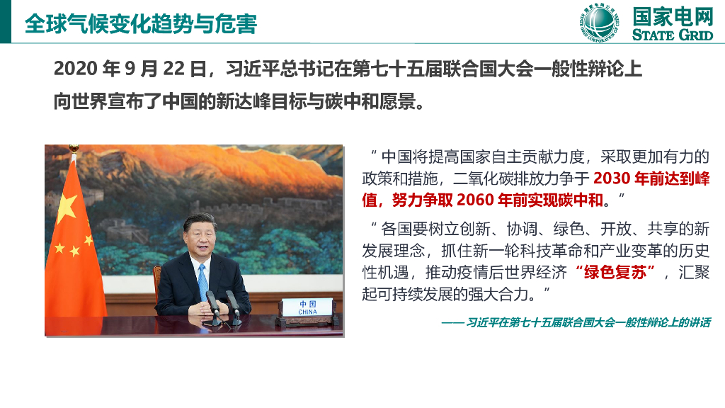 国网电力：碳达峰与碳中和国际政策背景及中国方案_第8页