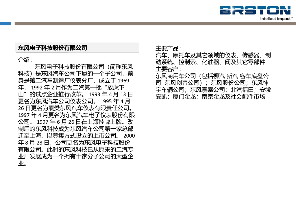 汽车电子10大供应商_第6页