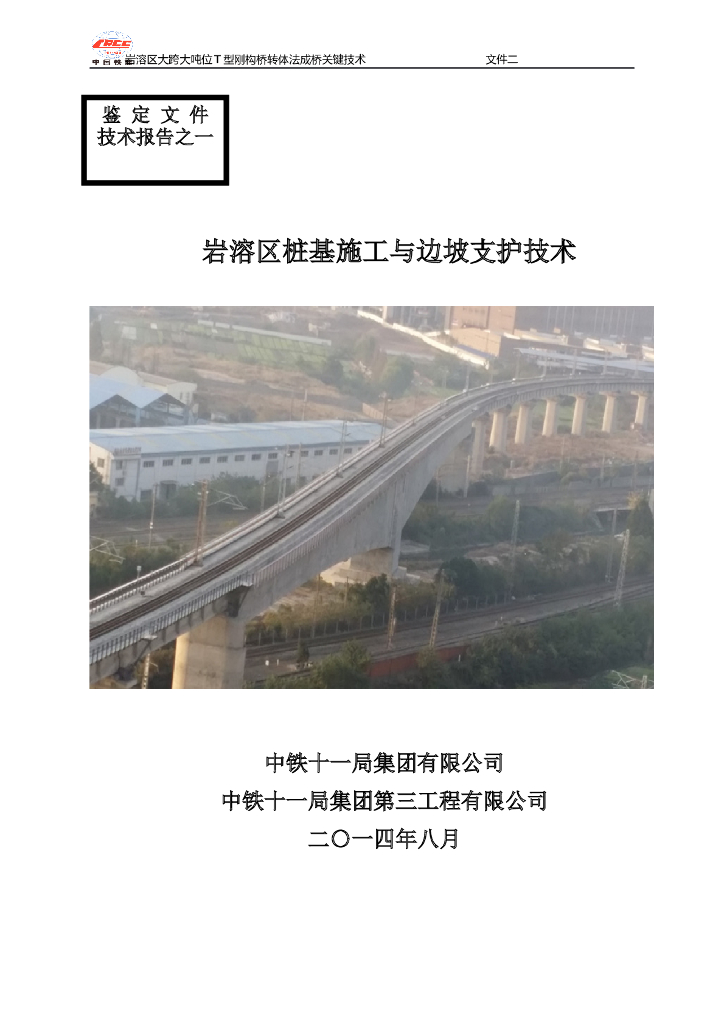 岩溶区特大桥桩基施工与边坡支护技术（鉴定文件技术报告之一）