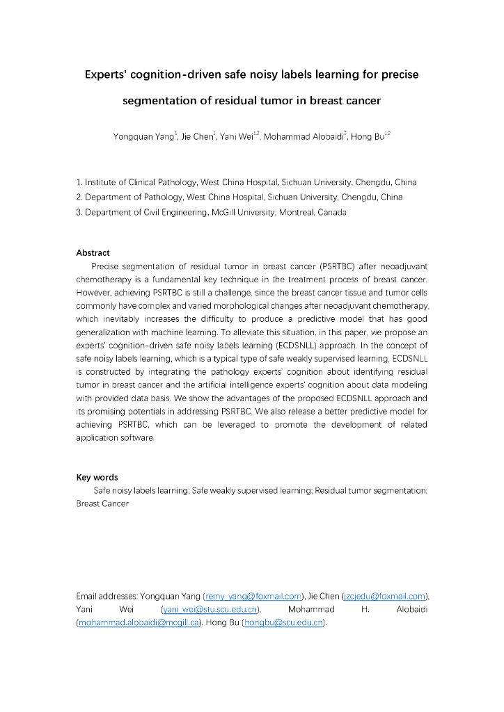 基于专家认知的安全噪声标签学习，用于乳腺癌残留肿瘤的精确分割（英文版）