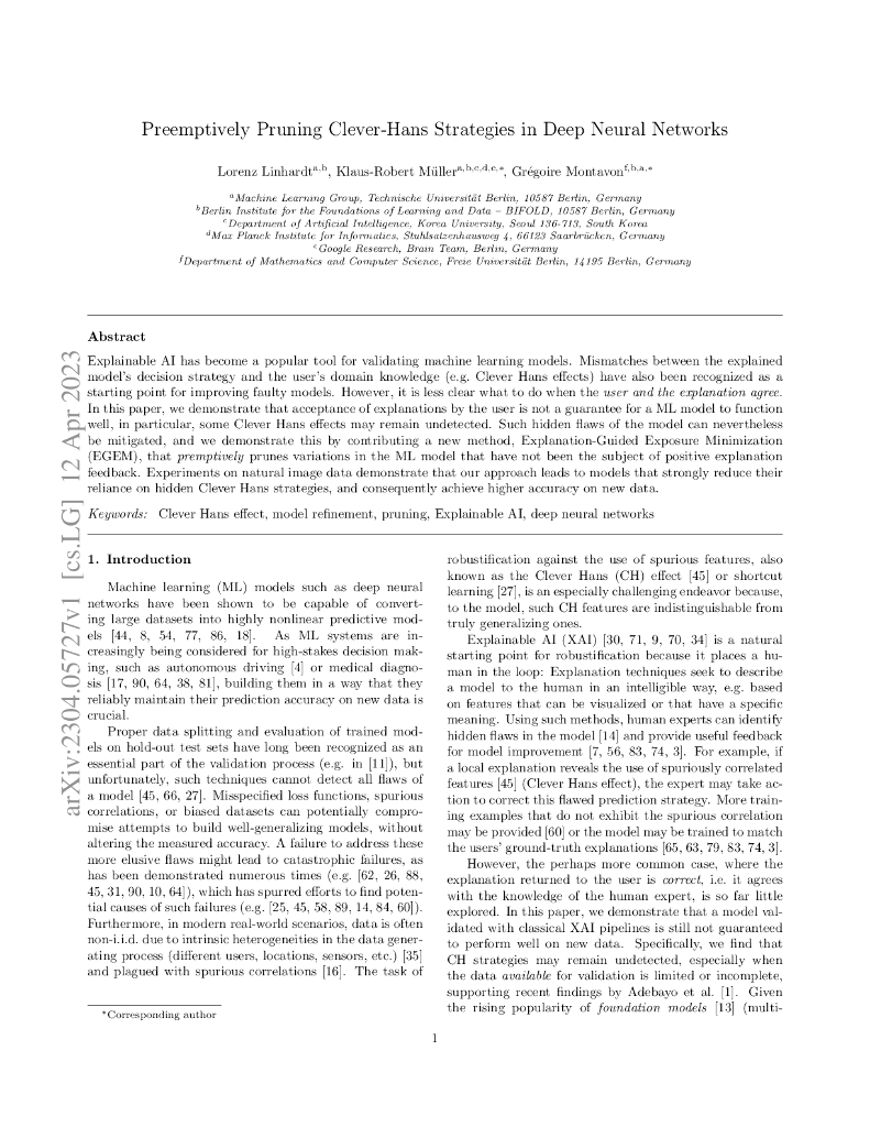 在深度神经网络中预先修剪 Clever-Hans 策略（英文版）