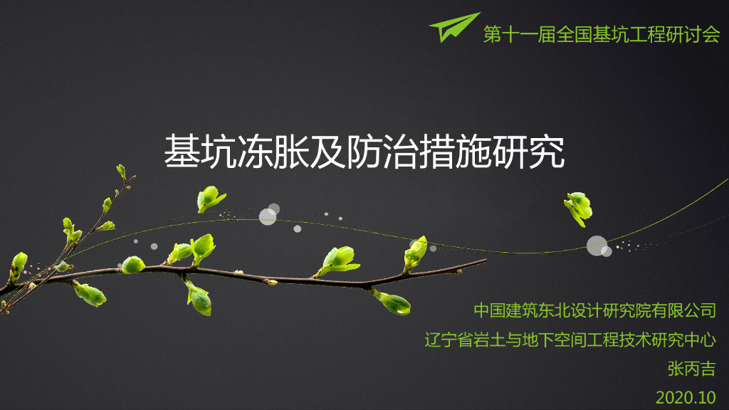 基坑冻胀及防治措施研究2020(82p+pdf)