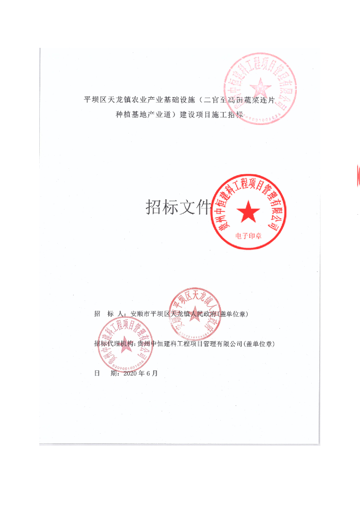 农业产业基础设施建设项目道路优化改造图纸