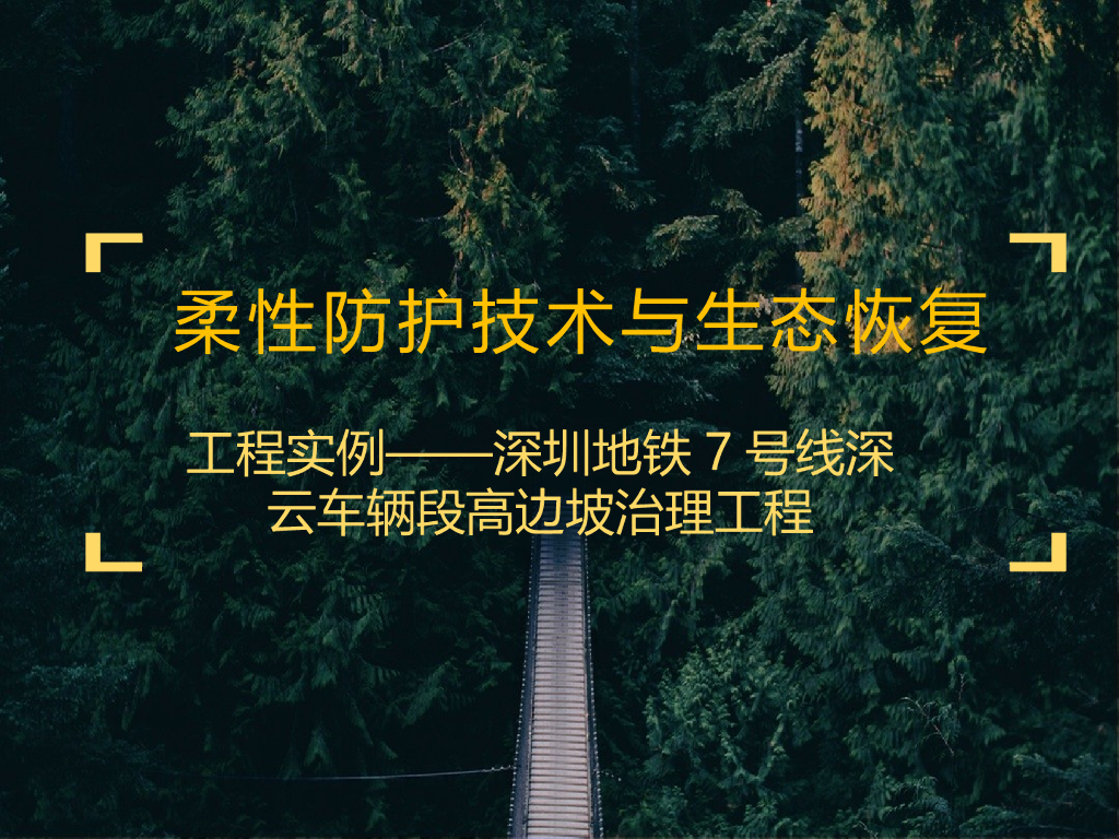 柔性防护技术与生态恢复实例