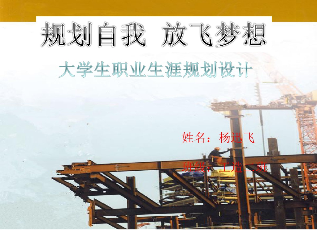 工程造价职业规划工作总结