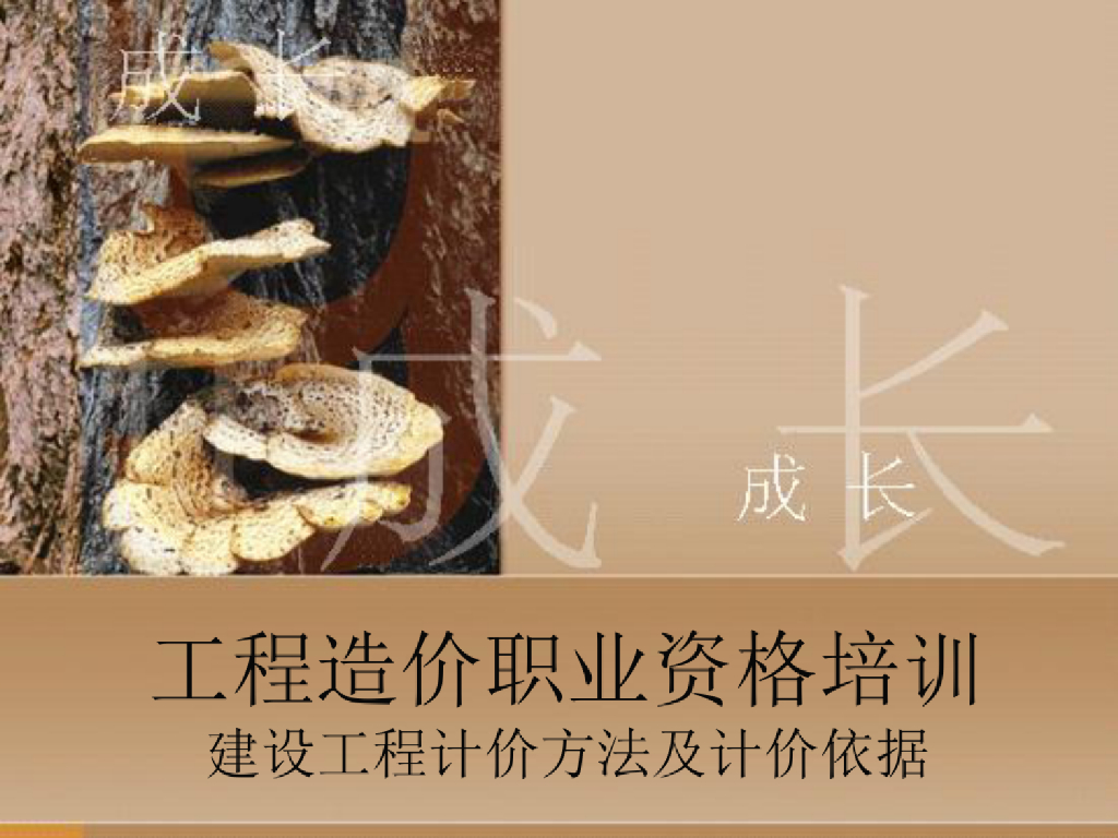 工程造价职业资格培训课件PPT