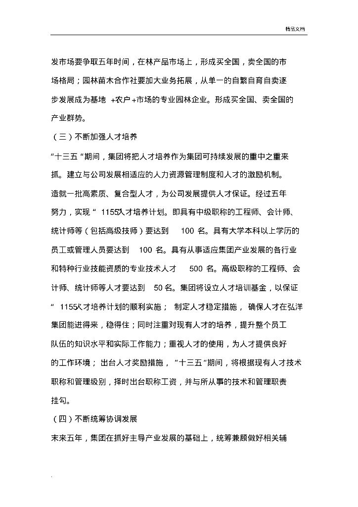 公司五年发展规划模板_第7页