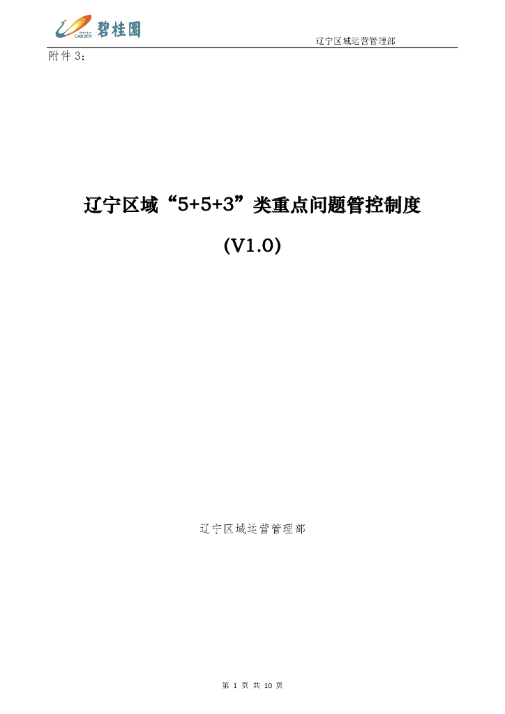公司“ 5+5+3 ”类重点问题管控制度