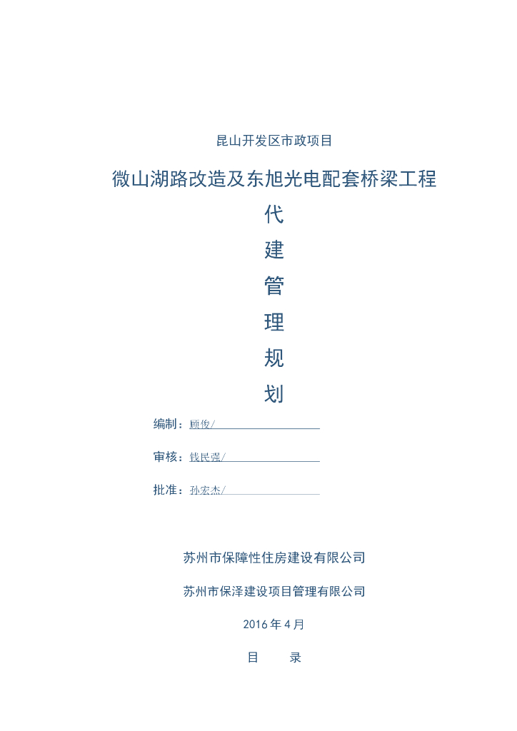 道路桥梁配套工程代建管理规划（93页）