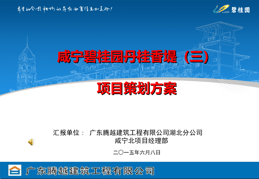 [咸宁]知名企业工程项目策划方案