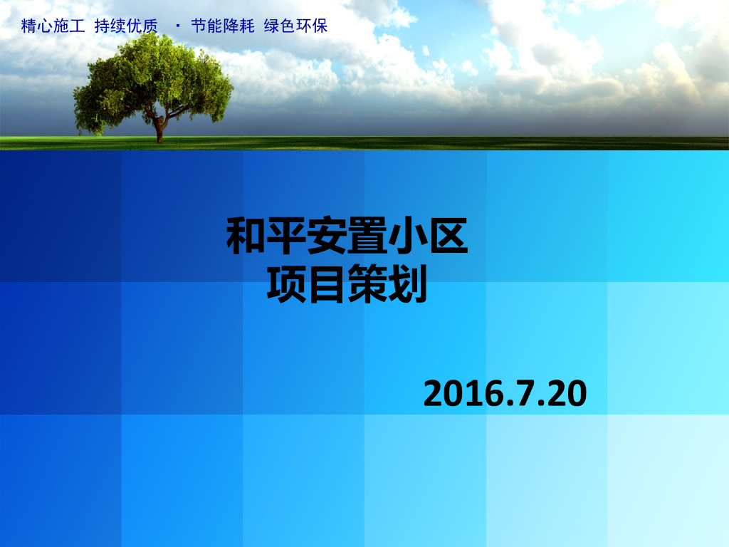 [长沙]安置小区项目策划书（图文并茂）