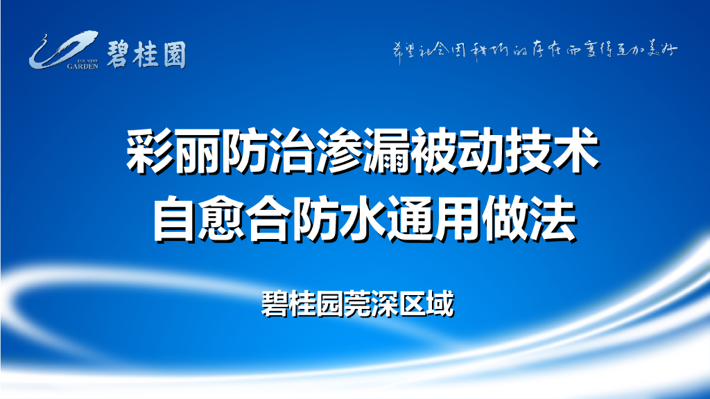 彩丽防治渗漏被动技术自愈合防水通用做法