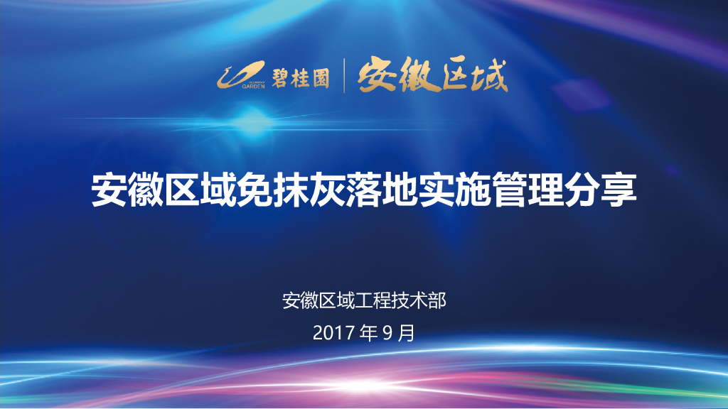 [安徽]区域免抹灰落地实施管理分享（图文并茂）