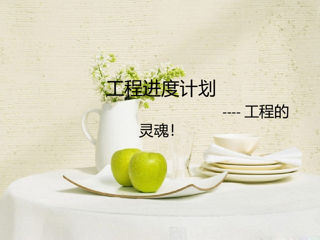 建设工程项目进度控制计划