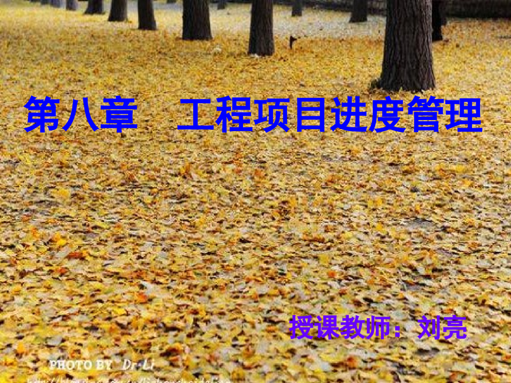 知名大学工程项目进度管理(315页)