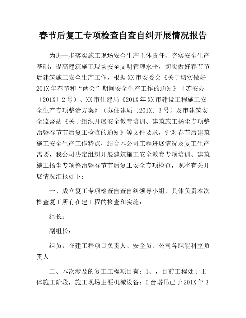 春节后复工专项检查自查自纠开展情况报告