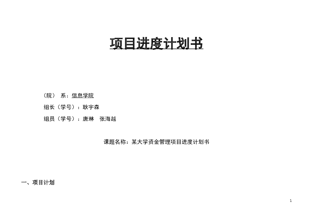 资金管理项目进度计划书