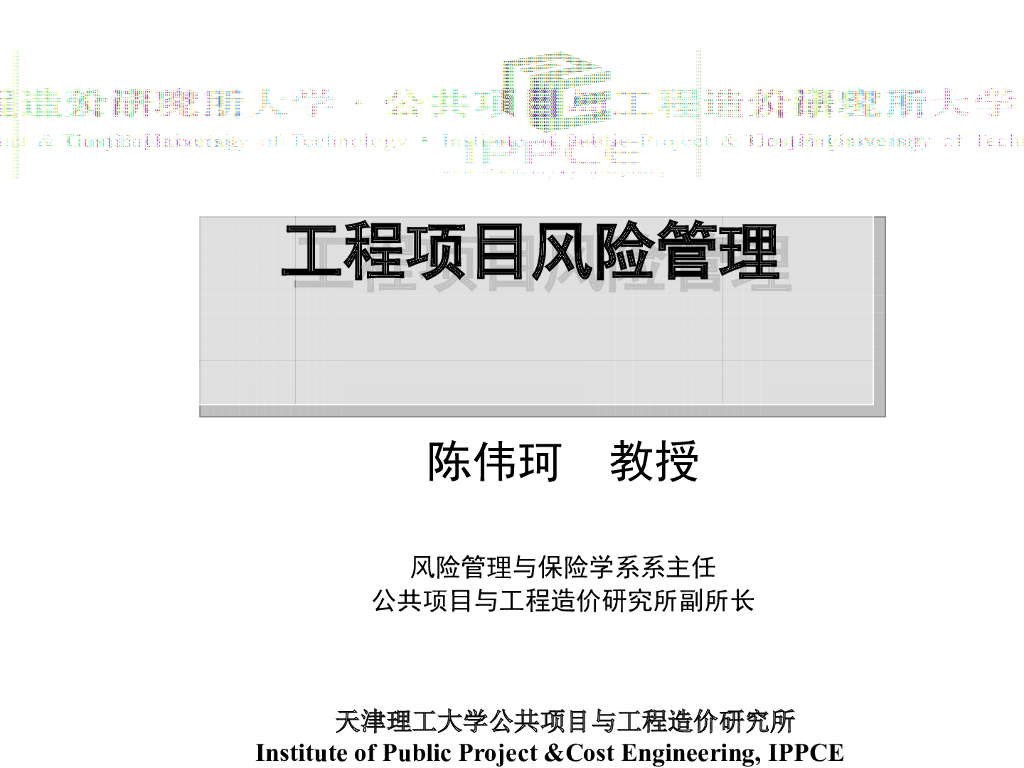 工程项目风险管理附实际案例讲解(289页)