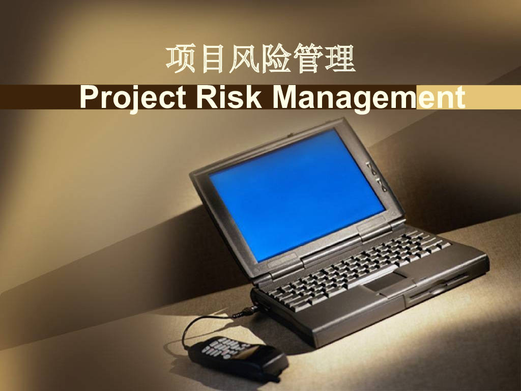 工程项目风险管理概述（75页）