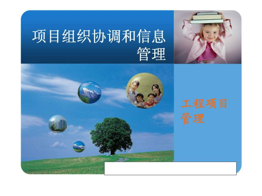 工程项目组织协调和信息管理(图表丰富)