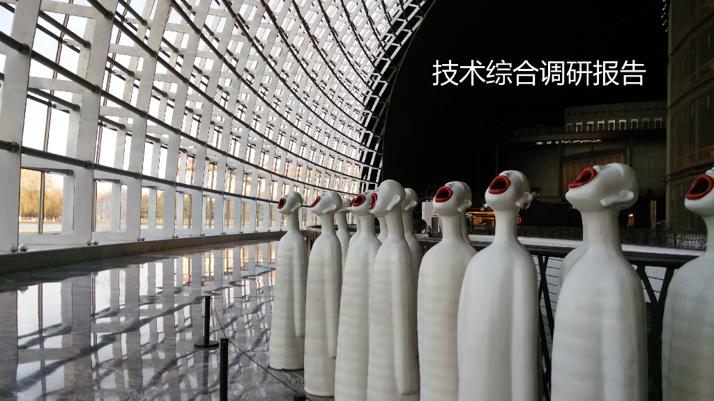 国家大剧院、鸟巢建筑技术分析（共78页）