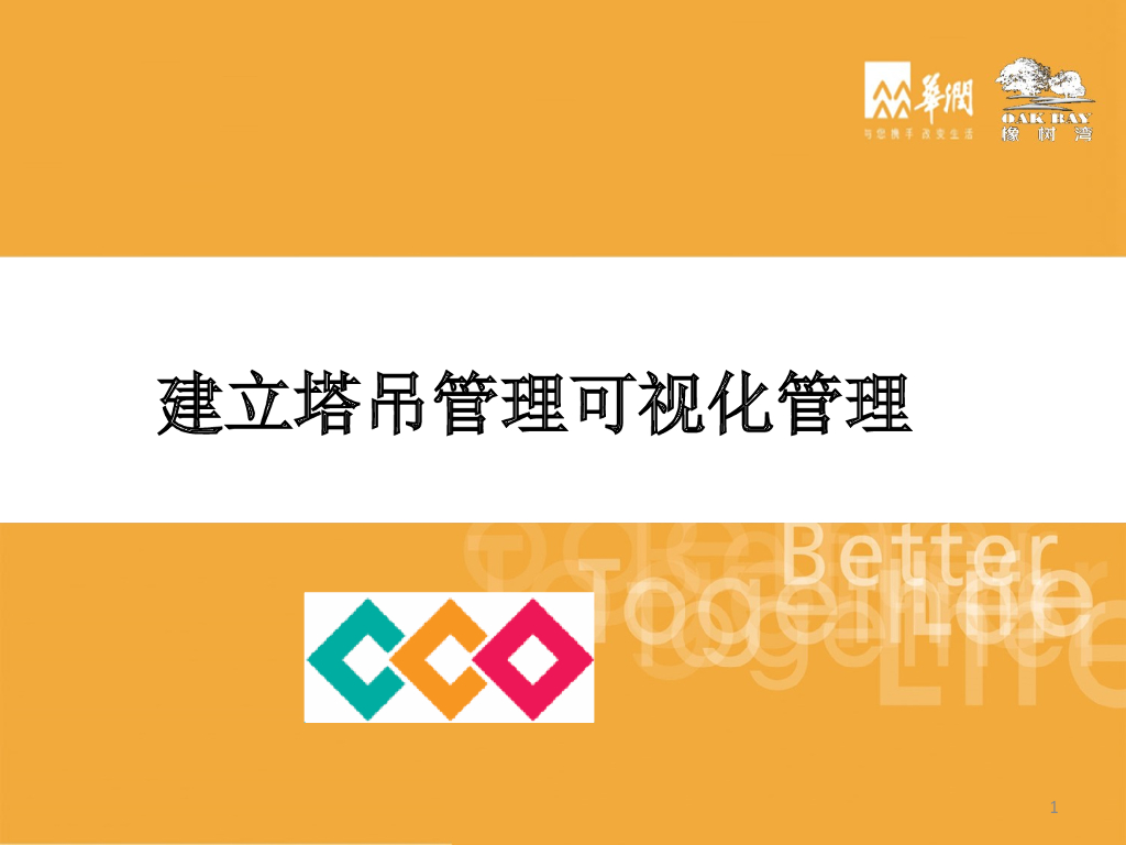 建立塔吊管理可视化管理（PPT）