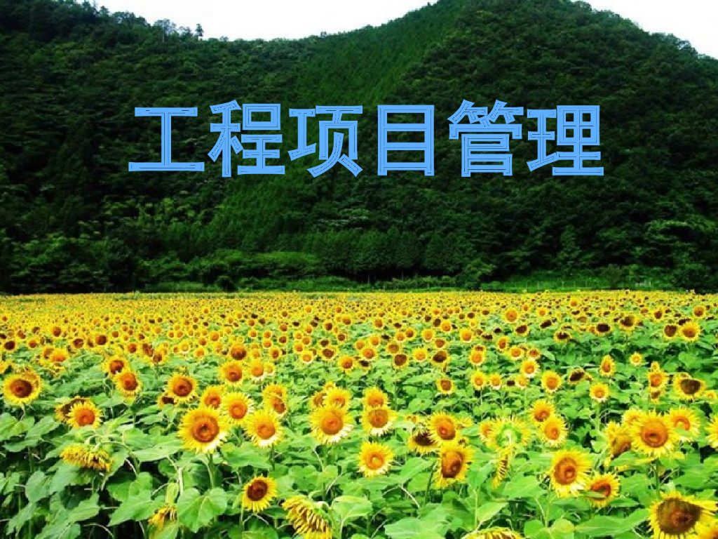 工程项目管理概述介绍（112页）