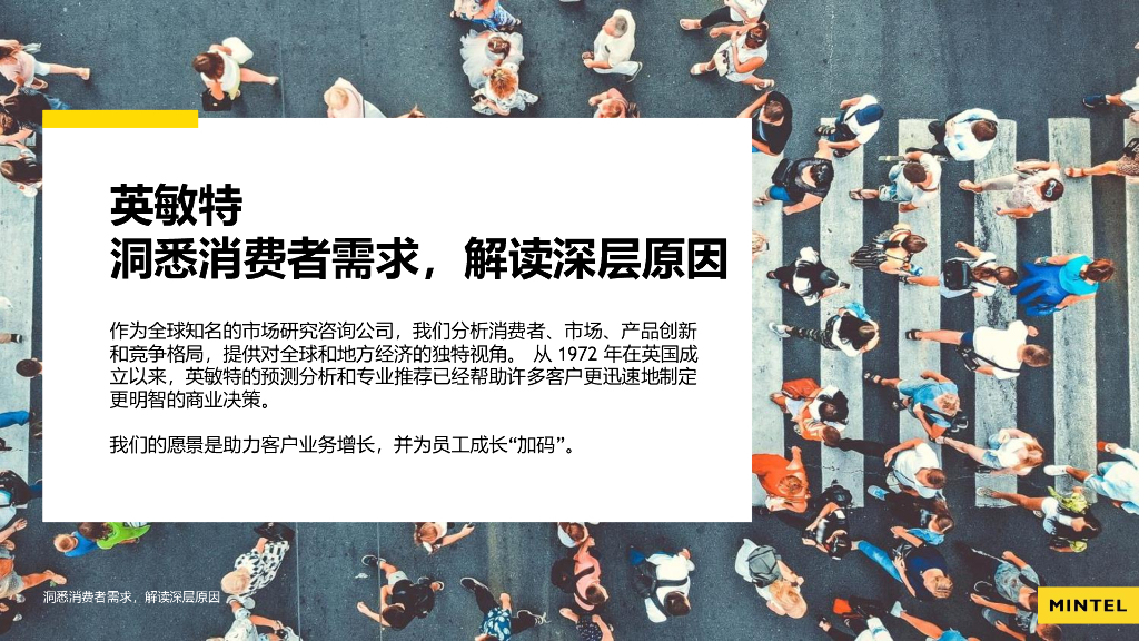 英敏特：大健康、情绪经济、居家经济下的零食创新_第2页