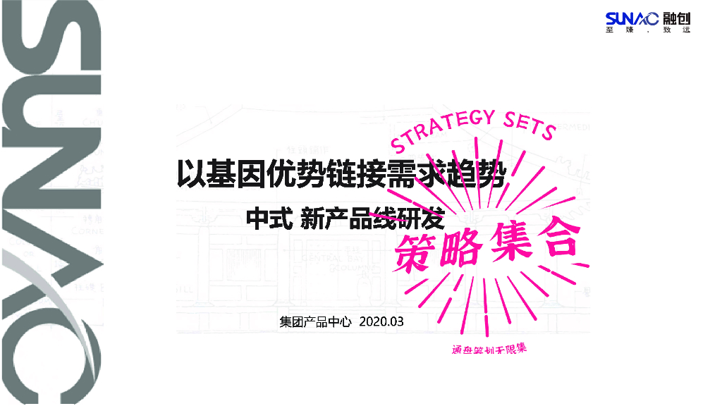 知名地产中式新产品线研发（98页）