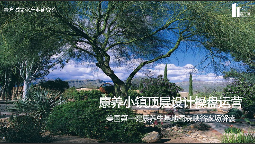 康养小镇顶层设计操盘运营（180页）