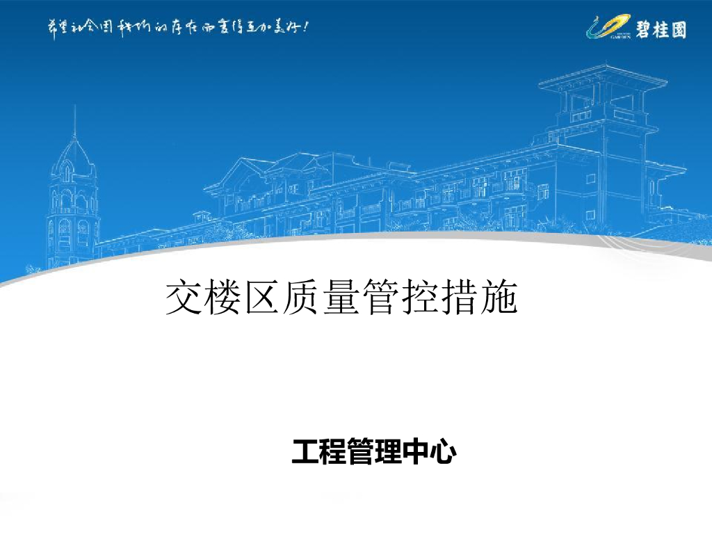 知名地产交楼区质量管控措施（71页）