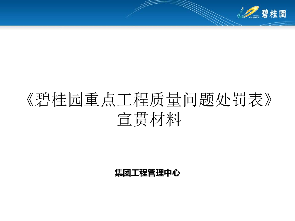 知名地产重点工程质量问题处罚表（PPT）