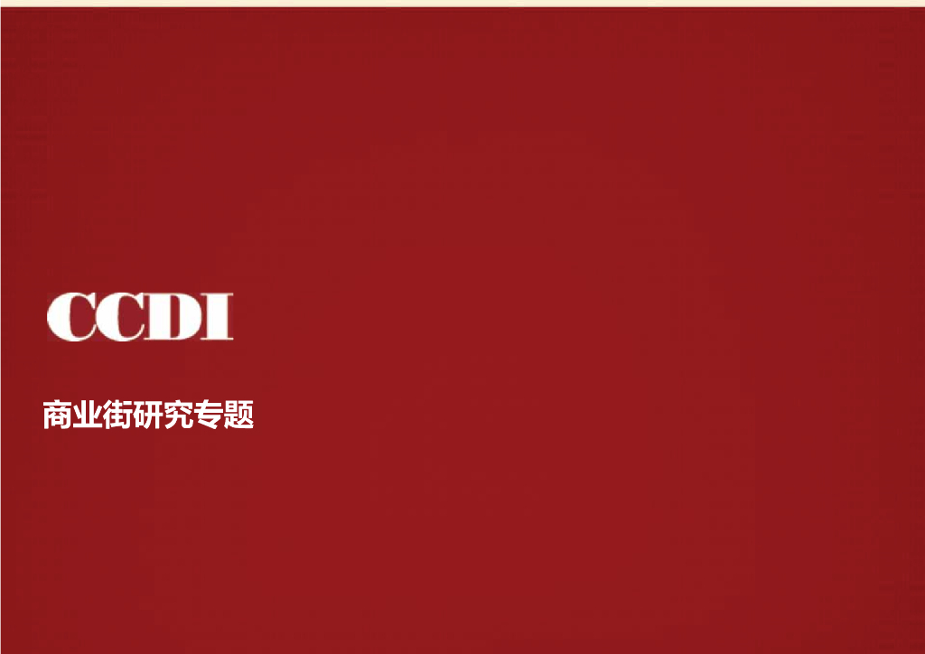 商业街研究专题 100p以上