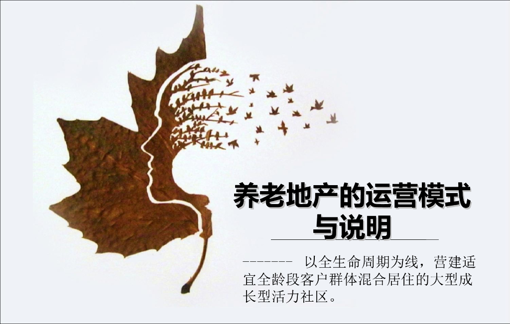 养老地产的运营模式与说明（图文并茂）