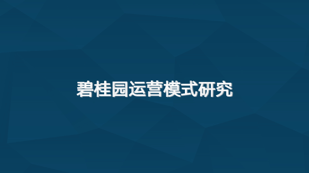 知名地产运营模式研究（149页）