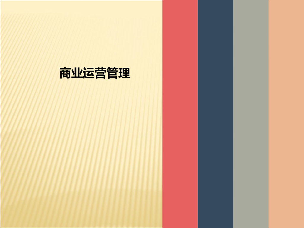 商业综合体项目运营管理（102页）