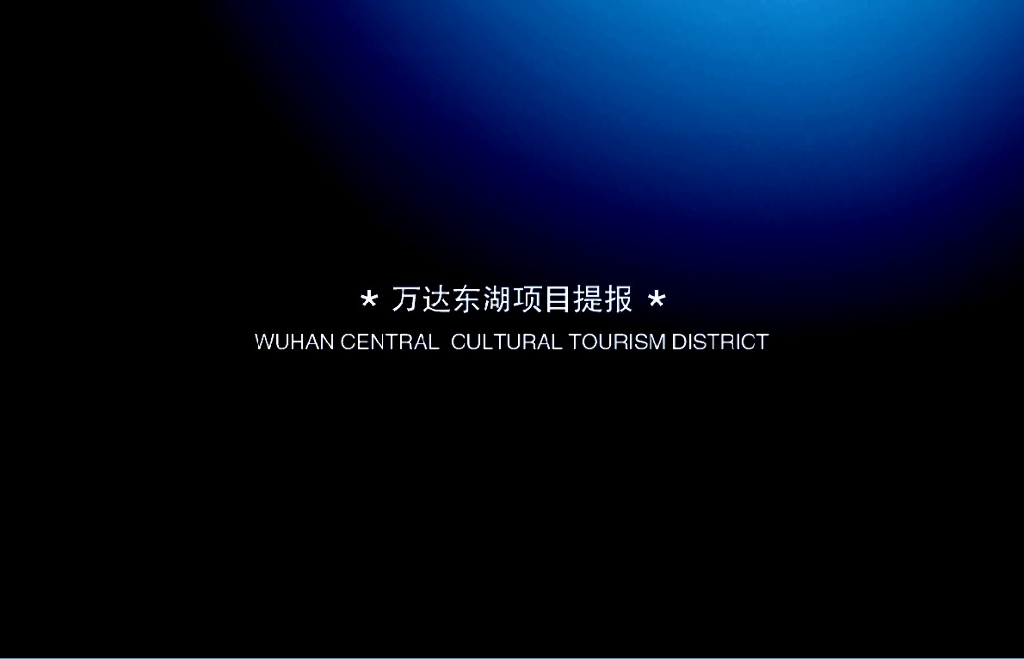 上海和声东湖项目运营策略（共130页）