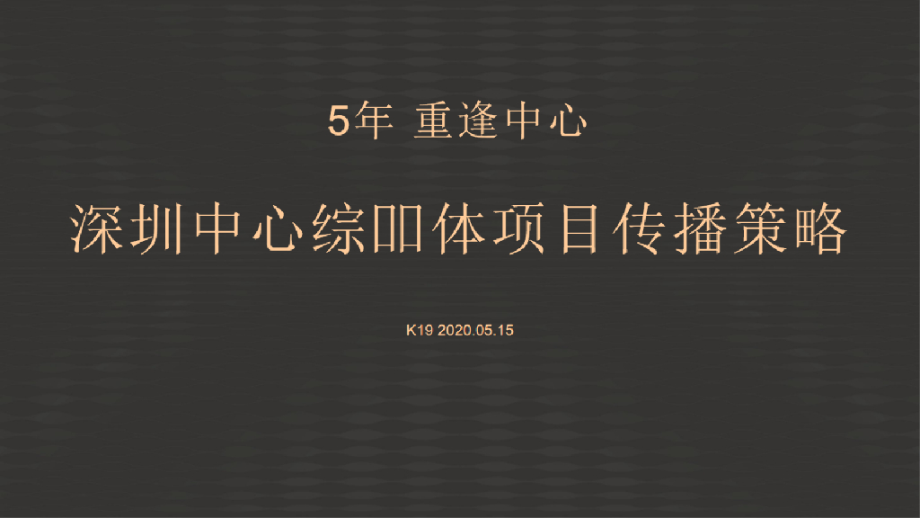 总裁公寓52ONE及深圳中心综合体项目策略