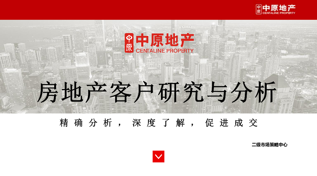房地产客户研究与分析（101页）