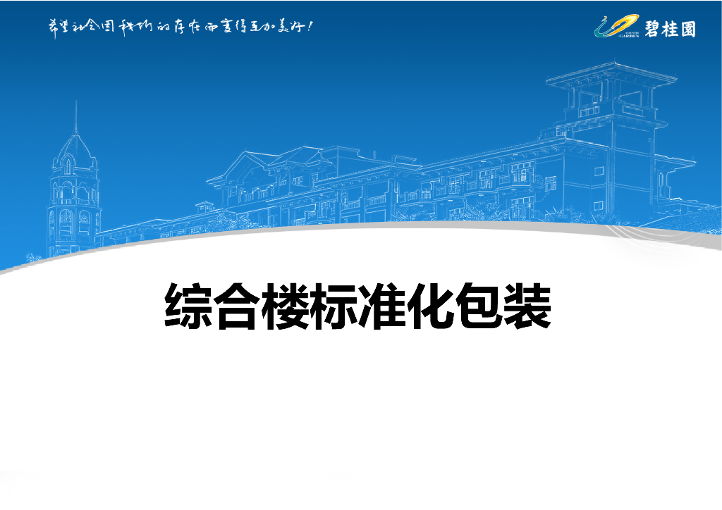 知名地产综合楼标准化包装（PPT）