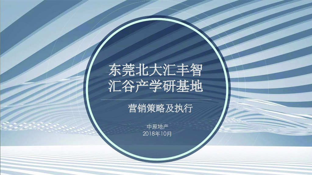 综合体项目营销策略及执行（134页）