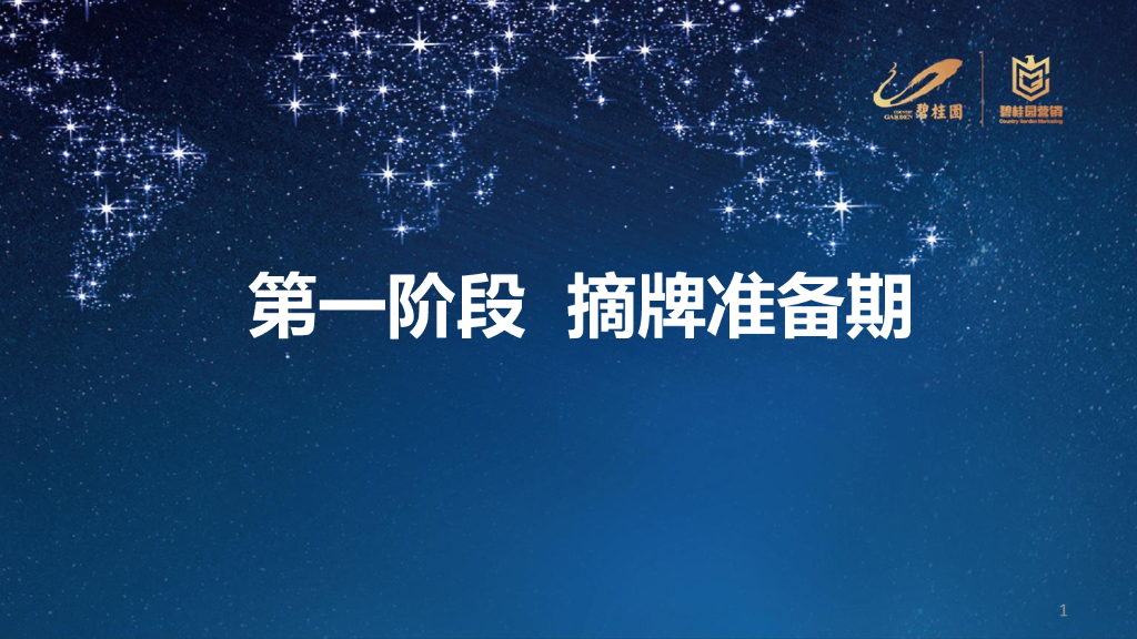 知名地产营销标准化摘牌准备期（148页）