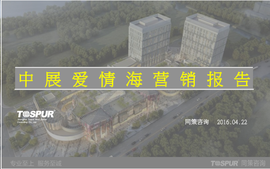 [上海]大型商圈营销策划报告